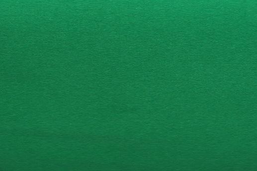 Кашемир, цвет зеленый травяной | Textile Plaza