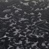 Жаккард Италия черно-белый цветочный принт  | Textile Plaza