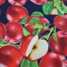 Костюмна тканина Dolce & Gabbana, принт яблука | Textile Plaza