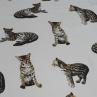 Шовк Dolce&Gabbana принт кішки на бежевому фоні | Textile Plaza