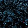 Сітка вишивка паєтками колір темно-синій | Textile Plaza