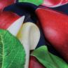 Костюмна тканина Dolce & Gabbana, принт яблука | Textile Plaza