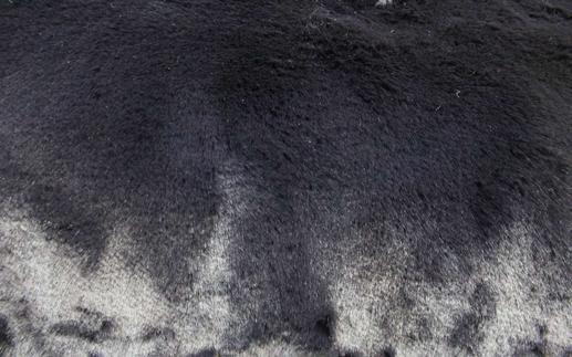 Хутро кролик, колір чорний | Textile Plaza