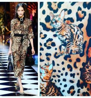 Шелк с эластаном Dolce&Gabbana принт кошки на леопардовом фоне | Textile Plaza