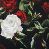 Трикотаж Dolce & Gabbana троянди на чорному | Textile Plaza